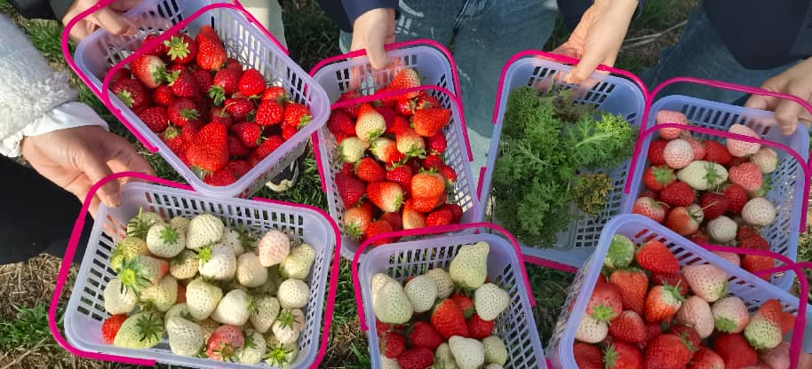 圖片2.png 圖片2.png